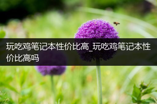 玩吃鸡笔记本性价比高_玩吃鸡笔记本性价比高吗