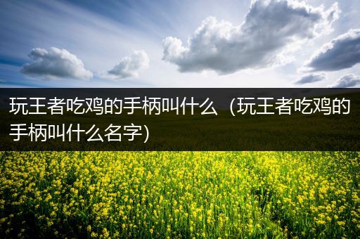玩王者吃鸡的手柄叫什么（玩王者吃鸡的手柄叫什么名字）