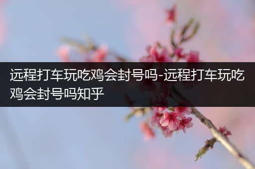 远程打车玩吃鸡会封号吗-远程打车玩吃鸡会封号吗知乎