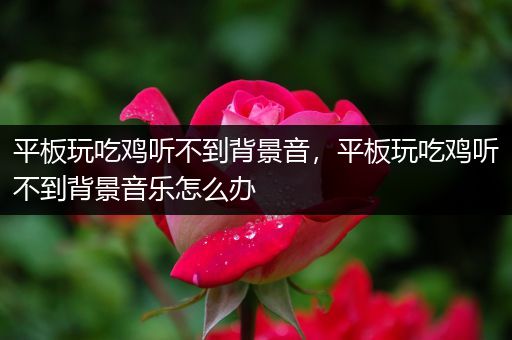 平板玩吃鸡听不到背景音，平板玩吃鸡听不到背景音乐怎么办