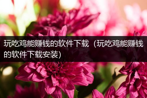 玩吃鸡能赚钱的软件下载（玩吃鸡能赚钱的软件下载安装）