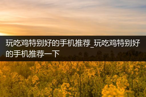 玩吃鸡特别好的手机推荐_玩吃鸡特别好的手机推荐一下