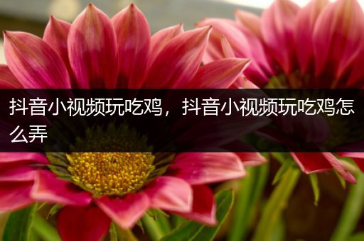 抖音小视频玩吃鸡，抖音小视频玩吃鸡怎么弄