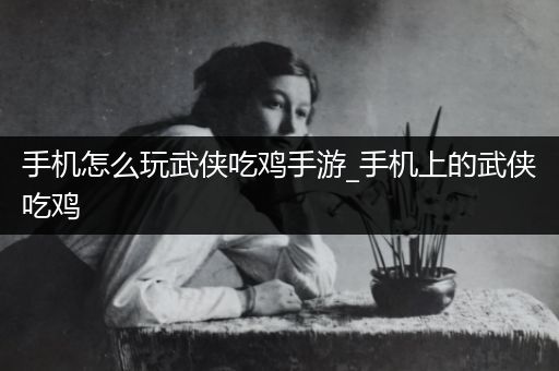 手机怎么玩武侠吃鸡手游_手机上的武侠吃鸡
