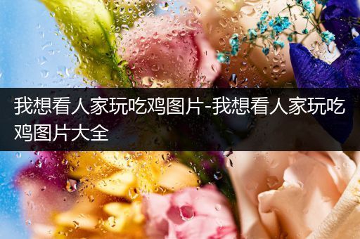我想看人家玩吃鸡图片-我想看人家玩吃鸡图片大全