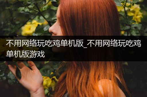 不用网络玩吃鸡单机版_不用网络玩吃鸡单机版游戏