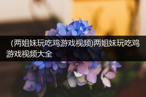 （两姐妹玩吃鸡游戏视频)两姐妹玩吃鸡游戏视频大全