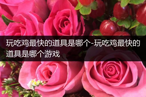 玩吃鸡最快的道具是哪个-玩吃鸡最快的道具是哪个游戏
