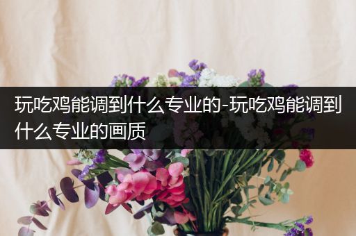 玩吃鸡能调到什么专业的-玩吃鸡能调到什么专业的画质