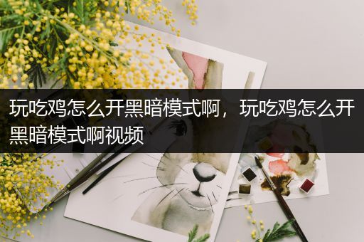 玩吃鸡怎么开黑暗模式啊，玩吃鸡怎么开黑暗模式啊视频