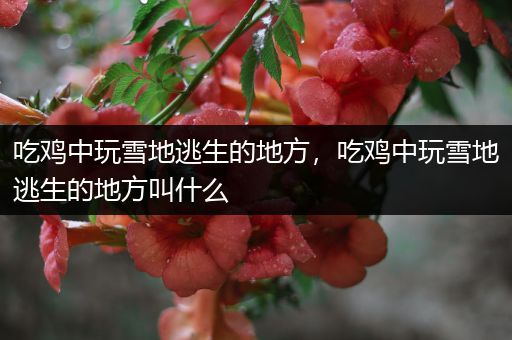 吃鸡中玩雪地逃生的地方，吃鸡中玩雪地逃生的地方叫什么