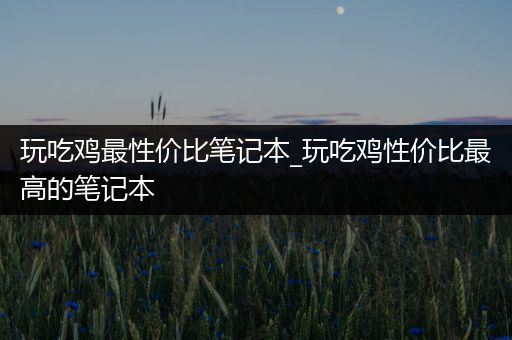 玩吃鸡最性价比笔记本_玩吃鸡性价比最高的笔记本