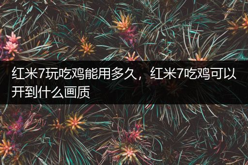 红米7玩吃鸡能用多久，红米7吃鸡可以开到什么画质