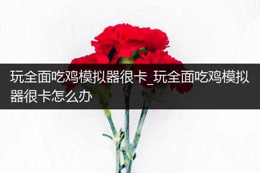 玩全面吃鸡模拟器很卡_玩全面吃鸡模拟器很卡怎么办