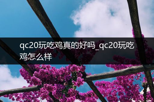 qc20玩吃鸡真的好吗_qc20玩吃鸡怎么样