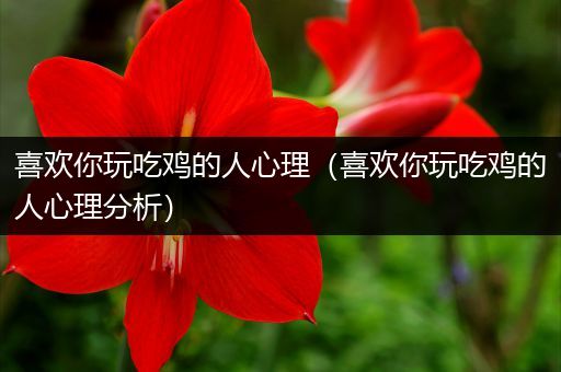 喜欢你玩吃鸡的人心理（喜欢你玩吃鸡的人心理分析）