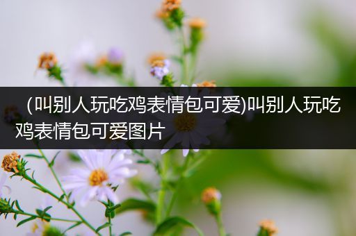 （叫别人玩吃鸡表情包可爱)叫别人玩吃鸡表情包可爱图片