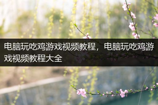 电脑玩吃鸡游戏视频教程，电脑玩吃鸡游戏视频教程大全