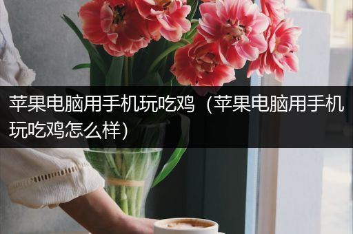 苹果电脑用手机玩吃鸡（苹果电脑用手机玩吃鸡怎么样）