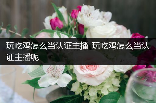 玩吃鸡怎么当认证主播-玩吃鸡怎么当认证主播呢
