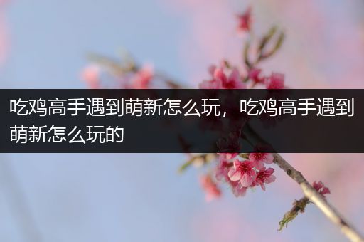 吃鸡高手遇到萌新怎么玩，吃鸡高手遇到萌新怎么玩的