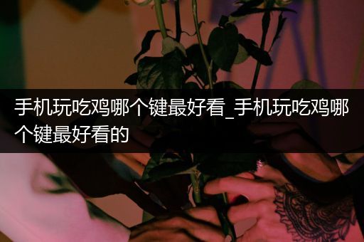 手机玩吃鸡哪个键最好看_手机玩吃鸡哪个键最好看的