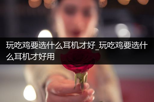 玩吃鸡要选什么耳机才好_玩吃鸡要选什么耳机才好用