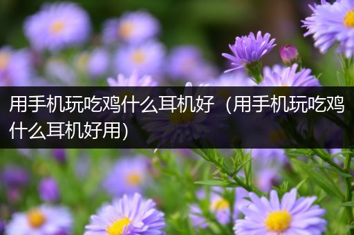 用手机玩吃鸡什么耳机好（用手机玩吃鸡什么耳机好用）
