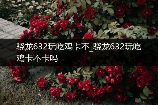 骁龙632玩吃鸡卡不_骁龙632玩吃鸡卡不卡吗