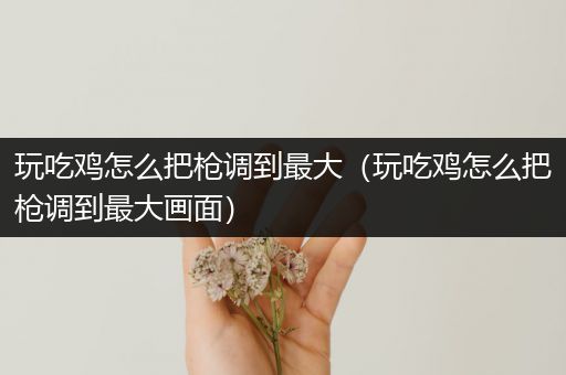 玩吃鸡怎么把枪调到最大（玩吃鸡怎么把枪调到最大画面）