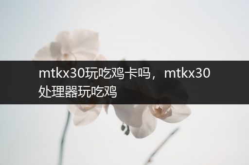mtkx30玩吃鸡卡吗，mtkx30处理器玩吃鸡