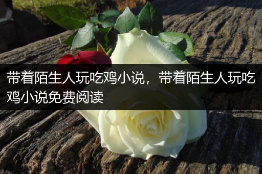 带着陌生人玩吃鸡小说，带着陌生人玩吃鸡小说免费阅读
