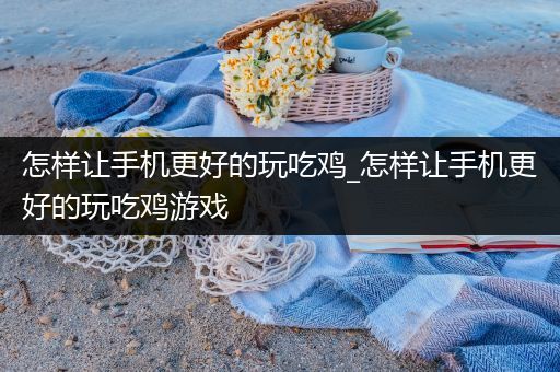 怎样让手机更好的玩吃鸡_怎样让手机更好的玩吃鸡游戏