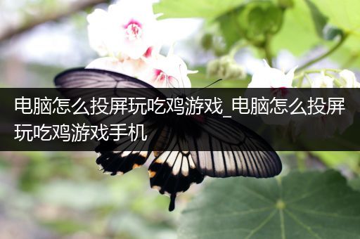 电脑怎么投屏玩吃鸡游戏_电脑怎么投屏玩吃鸡游戏手机