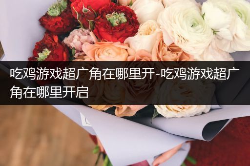 吃鸡游戏超广角在哪里开-吃鸡游戏超广角在哪里开启
