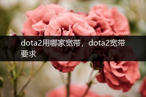 dota2用哪家宽带，dota2宽带要求