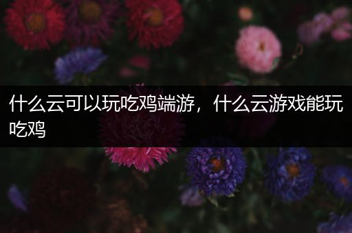 什么云可以玩吃鸡端游，什么云游戏能玩吃鸡