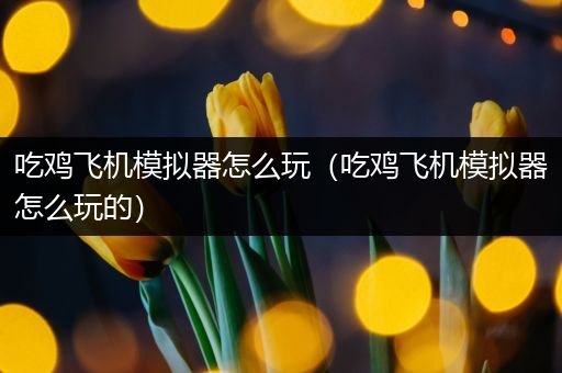 吃鸡飞机模拟器怎么玩（吃鸡飞机模拟器怎么玩的）