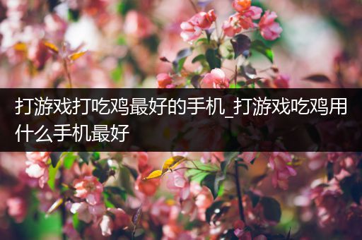 打游戏打吃鸡最好的手机_打游戏吃鸡用什么手机最好