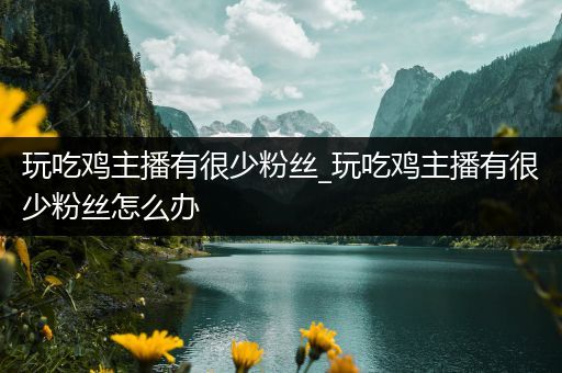 玩吃鸡主播有很少粉丝_玩吃鸡主播有很少粉丝怎么办