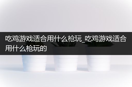吃鸡游戏适合用什么枪玩_吃鸡游戏适合用什么枪玩的