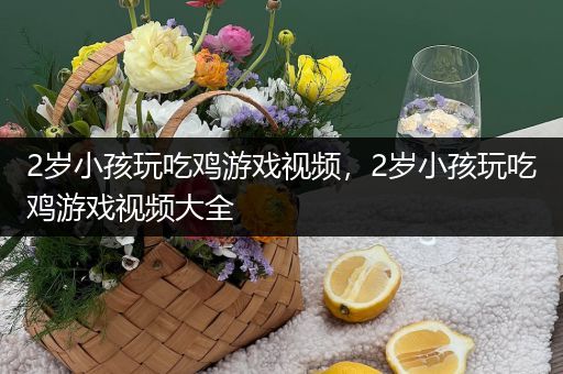 2岁小孩玩吃鸡游戏视频，2岁小孩玩吃鸡游戏视频大全