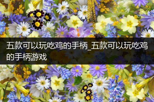 五款可以玩吃鸡的手柄_五款可以玩吃鸡的手柄游戏