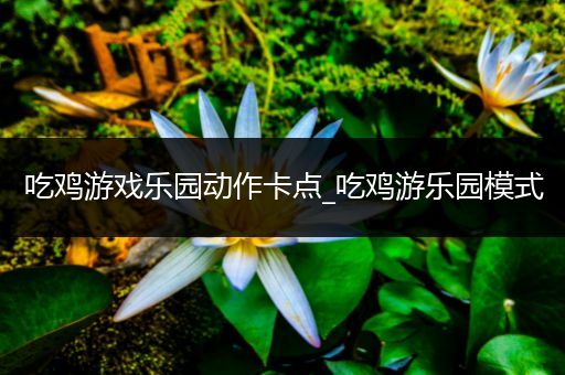 吃鸡游戏乐园动作卡点_吃鸡游乐园模式