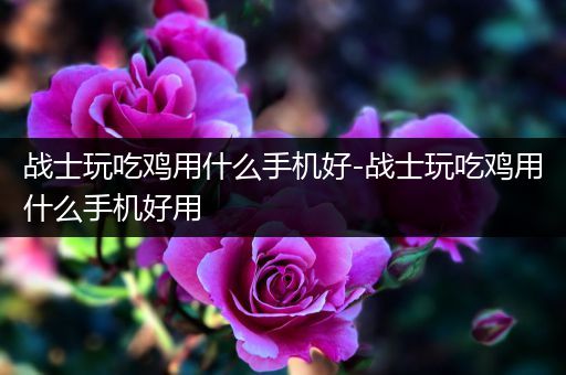 战士玩吃鸡用什么手机好-战士玩吃鸡用什么手机好用