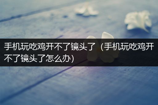 手机玩吃鸡开不了镜头了（手机玩吃鸡开不了镜头了怎么办）