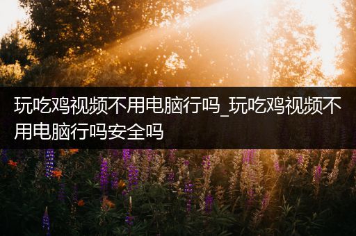 玩吃鸡视频不用电脑行吗_玩吃鸡视频不用电脑行吗安全吗