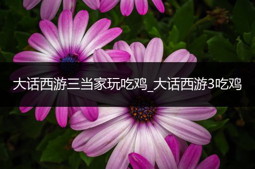 大话西游三当家玩吃鸡_大话西游3吃鸡