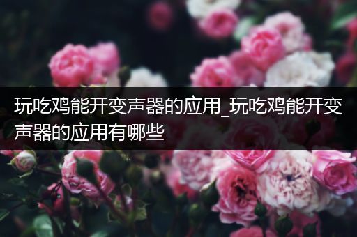 玩吃鸡能开变声器的应用_玩吃鸡能开变声器的应用有哪些