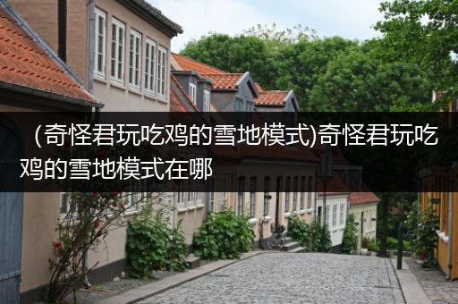 （奇怪君玩吃鸡的雪地模式)奇怪君玩吃鸡的雪地模式在哪